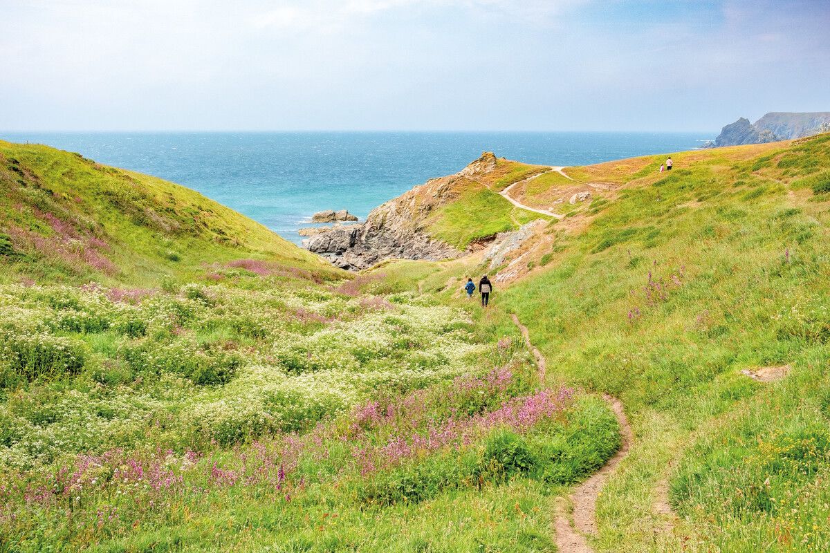 Der South West Coast Path führt über große Teile der Küste Südenglands. Shutterstock
