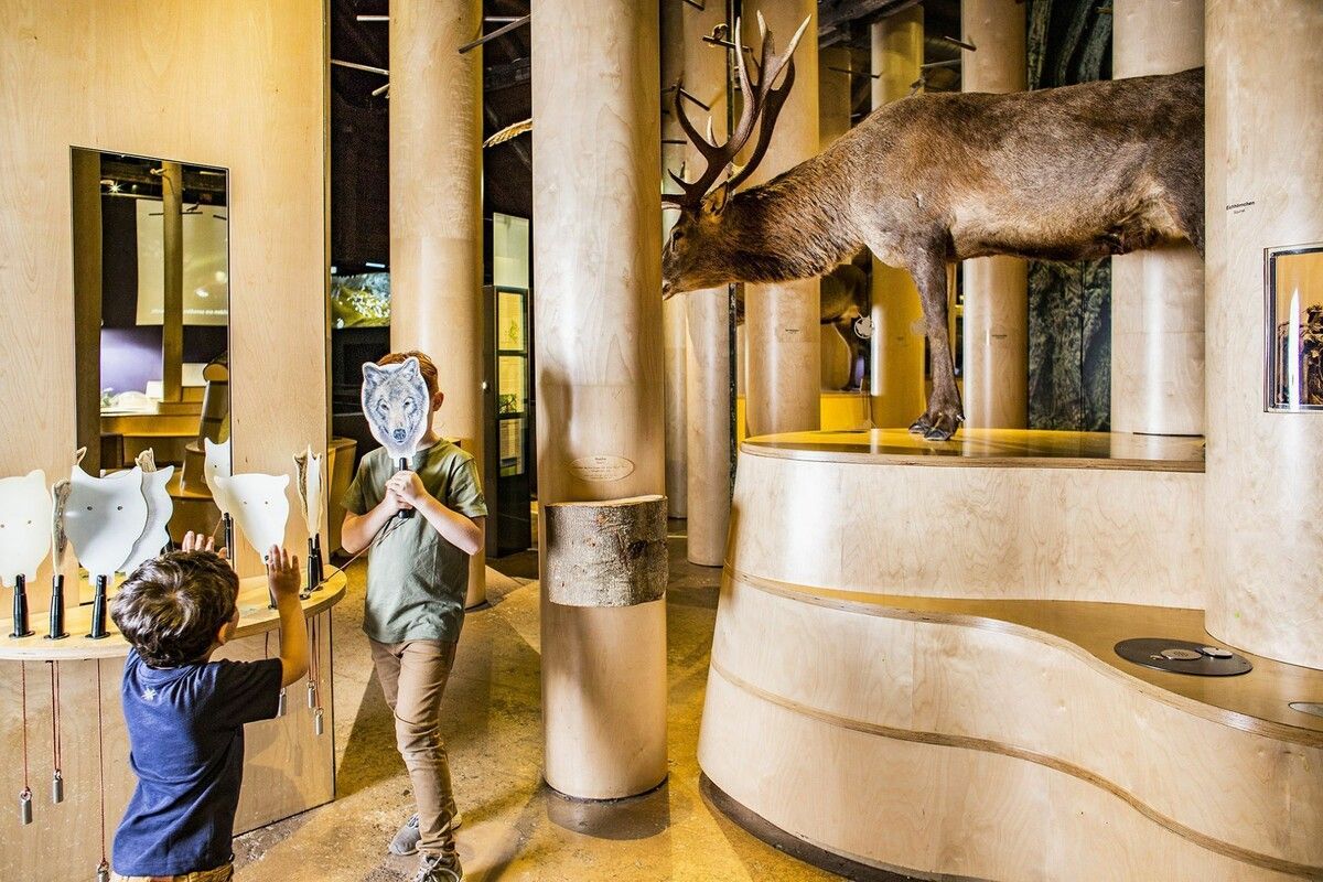 Die aktuelle Sonderausstellung ist noch bis 7. Juni 2026 zu sehen. ⇒Petra Rainer