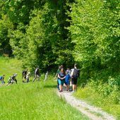 Zweiter „Pfänder Family Walk“ führt über 8,5 km