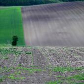 Abbau klimaschädlicher Förderungen im Budget