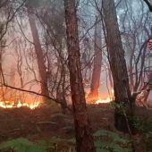 Feuer wütet nahe Pisa