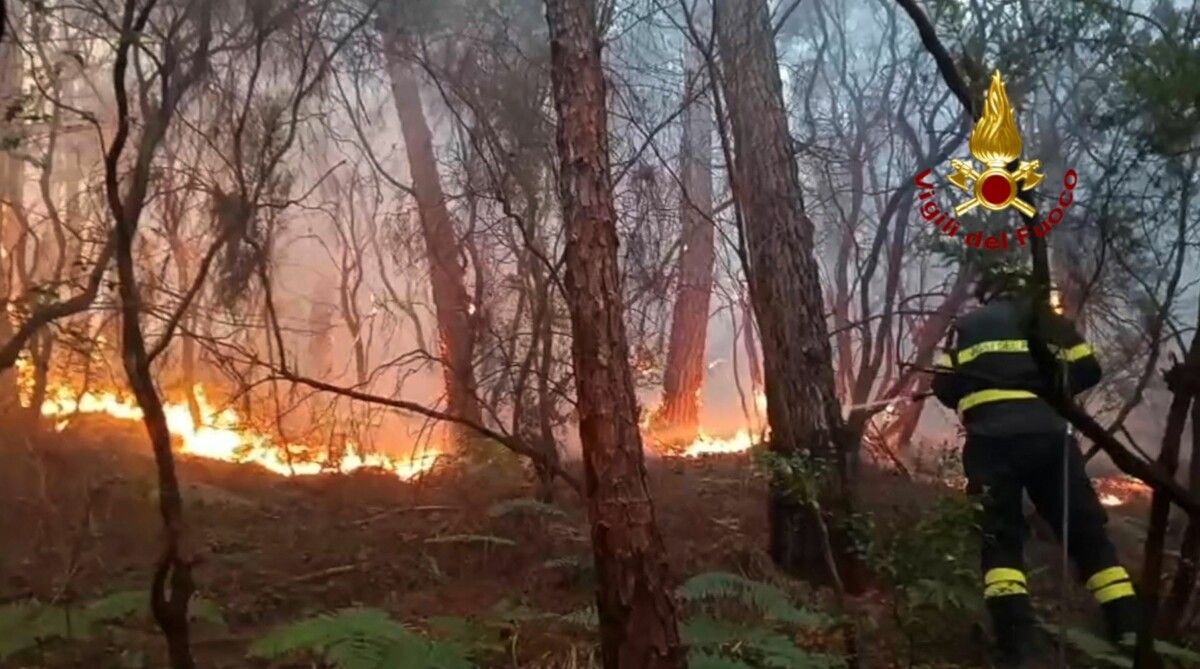 Ein Waldbrand in der Toskana zwingt Tausende zur Flucht.⇒afp