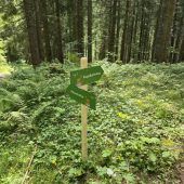 Erlebnis Klangberg im Laternsertal