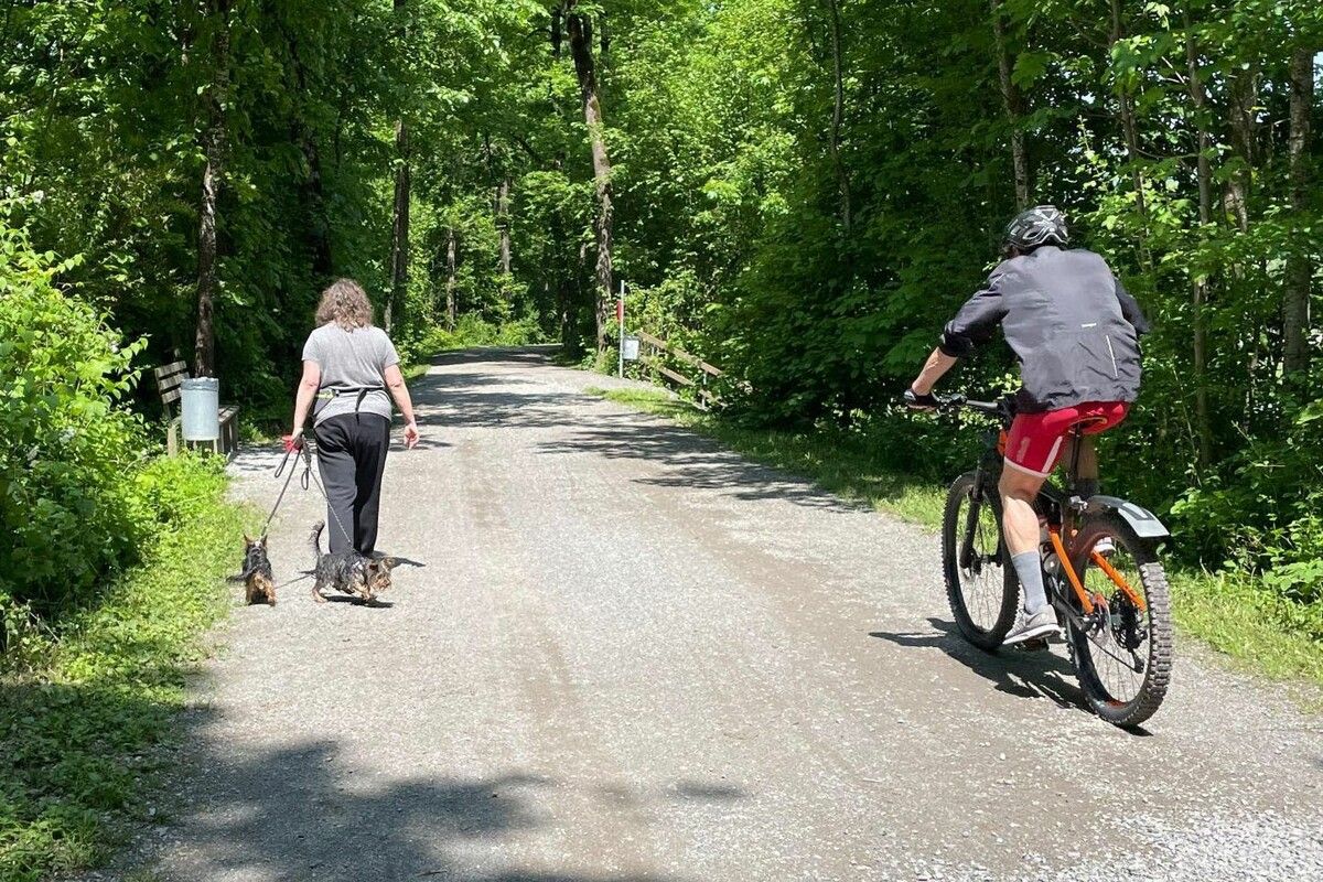 Ideen für Fuß- und Radverkehr
