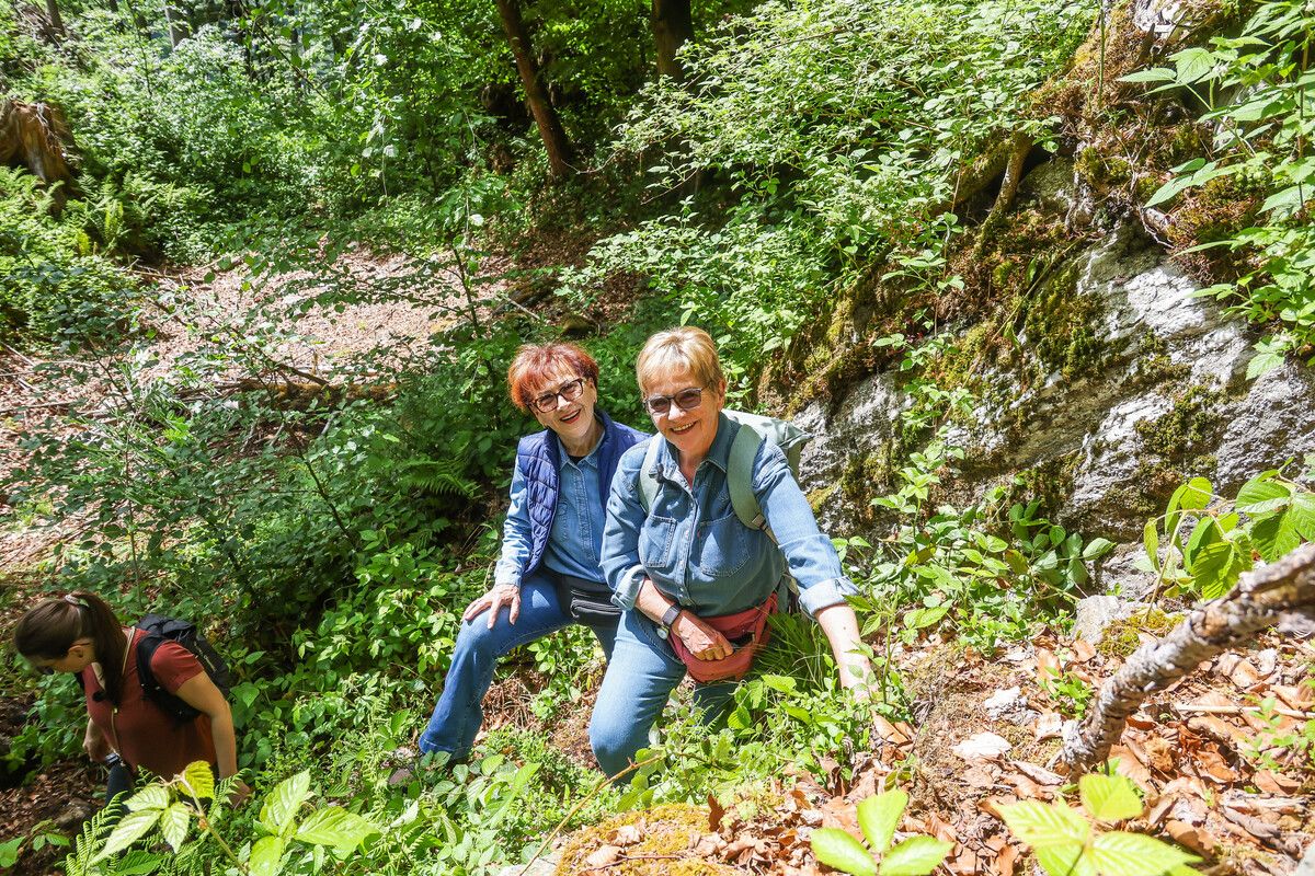 Wenn zwei den Wald retten