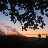 Brandalarm im Schilf