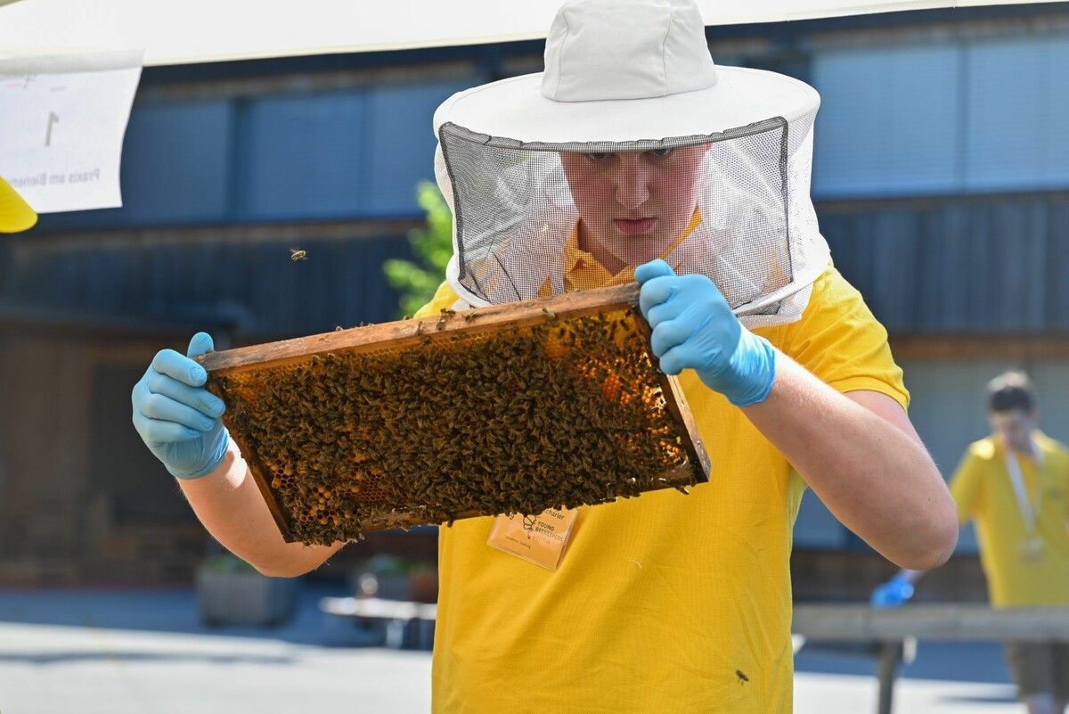 Junge Imker bringen Bezau zum Summen