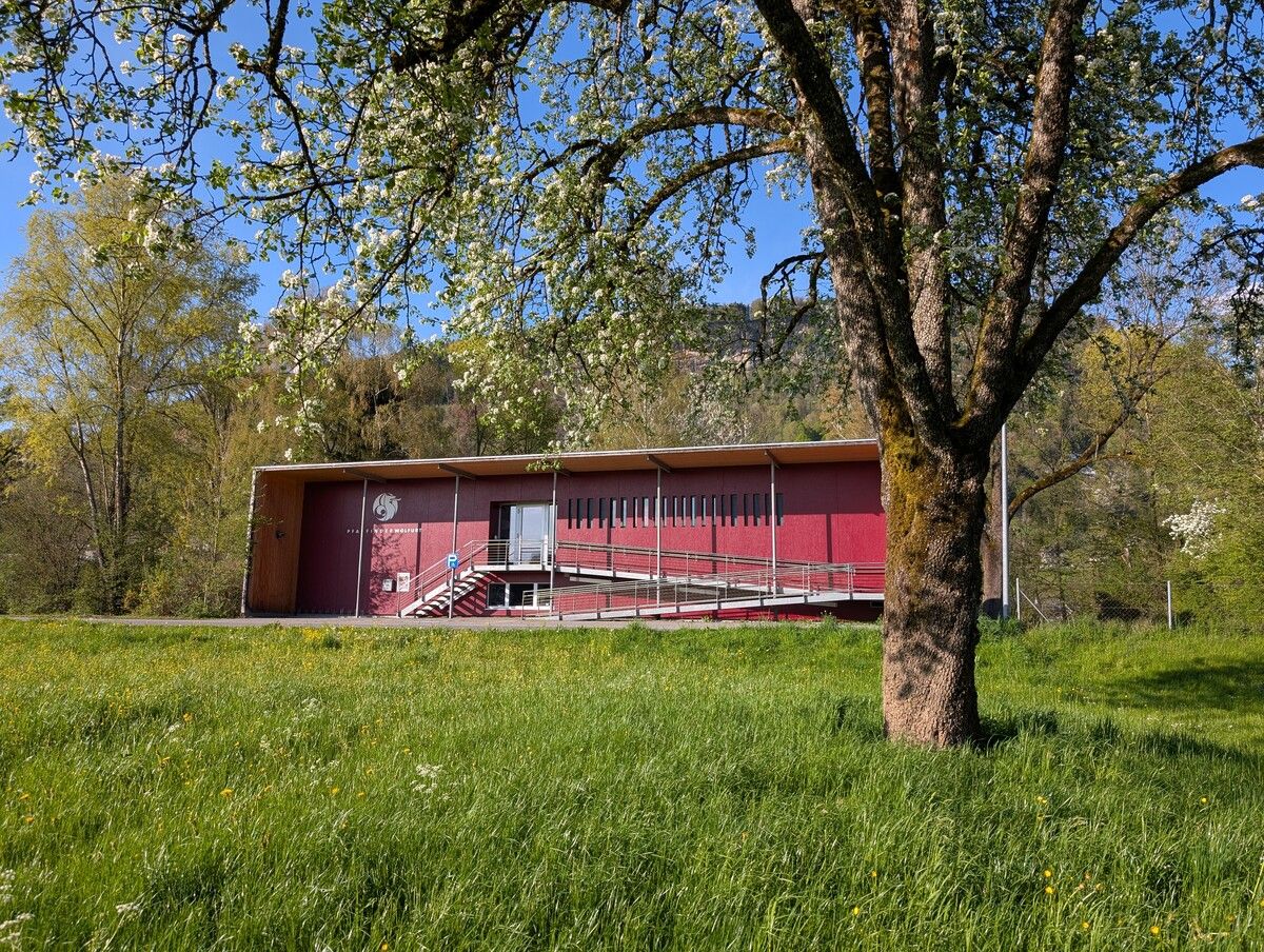 Weltspieletag in Wolfurt