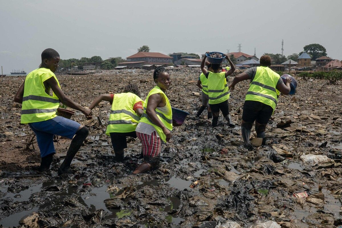 Gemeindemitglieder kämpfen sich durch einen verschmutzten Sumpf in Freetown, wo Mangroven zerstört wurden, während lokale Gruppen an ihrer Wiederaufforstung arbeiten.