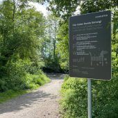 Zwei Badeplätze für Hunde an der Dornbirner Ach