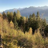 „Die Bäume leben noch von den Wintervorräten“
