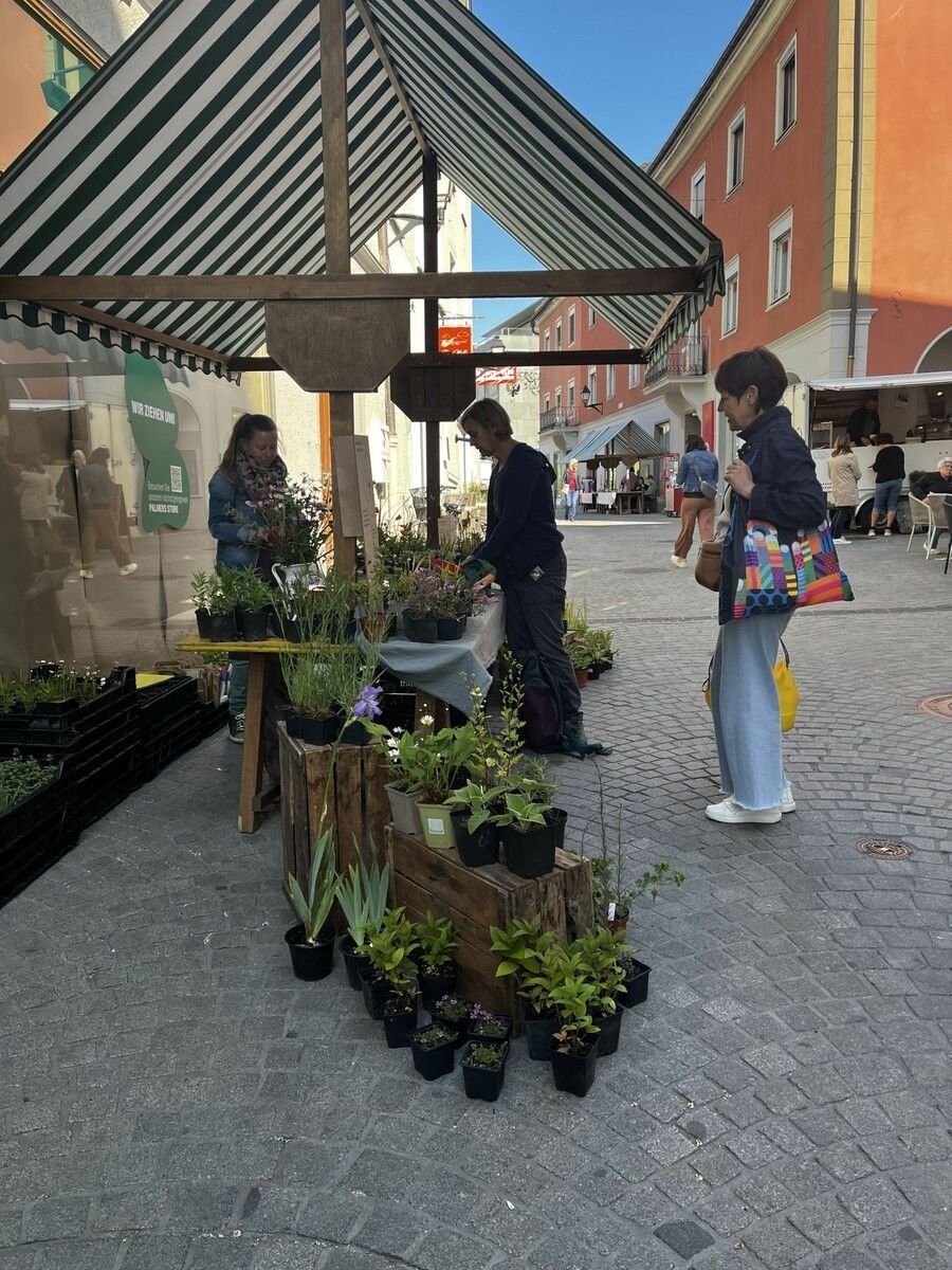 Kräutermarkt in Bludenz: Am 30. Mai laden regionale Produzenten, Pflanzen, Gewürze und Aktionen zum Genießen und Entdecken ein.