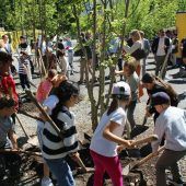 Wie am Festspielhaus ein Wald entstand