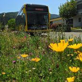 Nigg Bus drückt aufs Strompedal