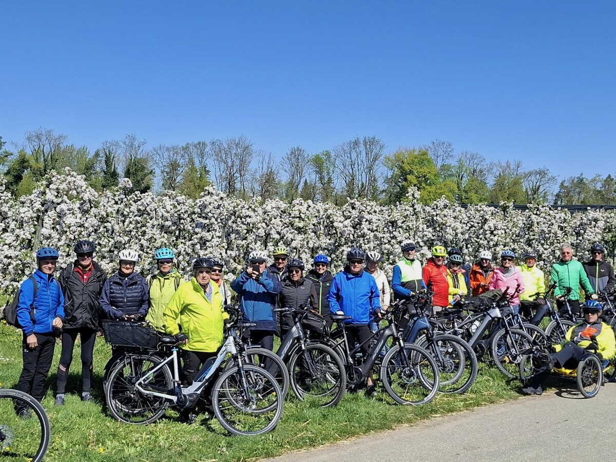 Radgruppe von Vorarlberg 50Plus Bregenz genießt Frühlingsfahrt nach Friedrichshafen durch blühende Landschaften. ⇒V50Plus Bregenz