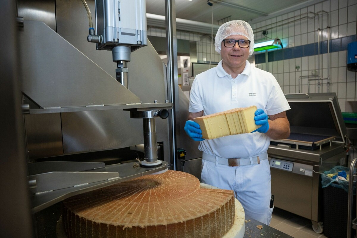 Seit 30 Jahren produziert Hartmann Käse wie diesen Hartkäse.⇒VN/Serra