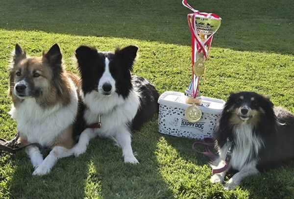 Starke Teamleistung beim Turnier in Rankweil: Drei Hundeführerinnen sichern sich gemeinsam den ersten Platz. ⇒Hundesportverein Nüziders