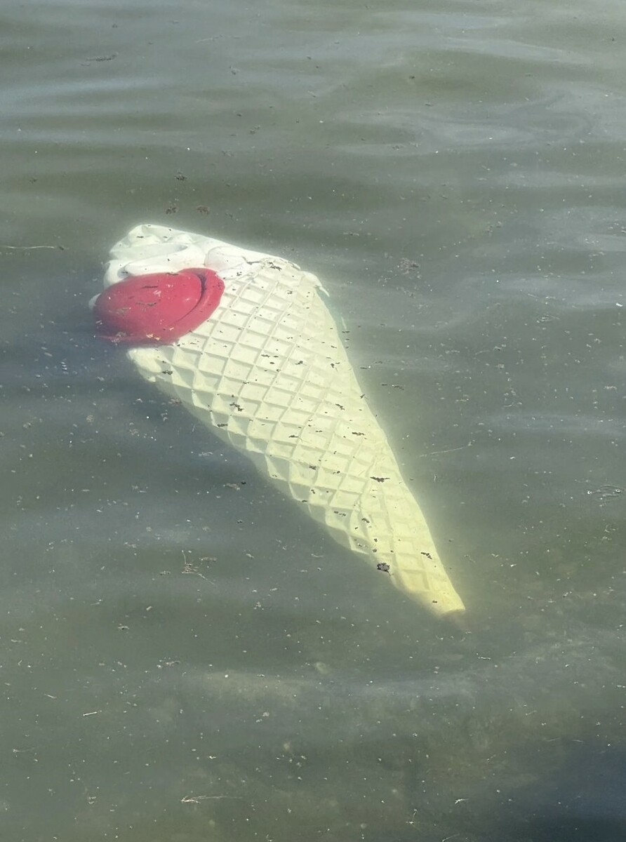 Unbekannte warfen den Eis-Aufsteller in den Bodensee. ⇒VOL.AT