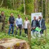 Waldbewirtschaftung Vandans