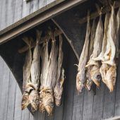 Meer, Lamm und Fermentation