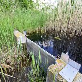 Grundwasserstände auf Rekordtief