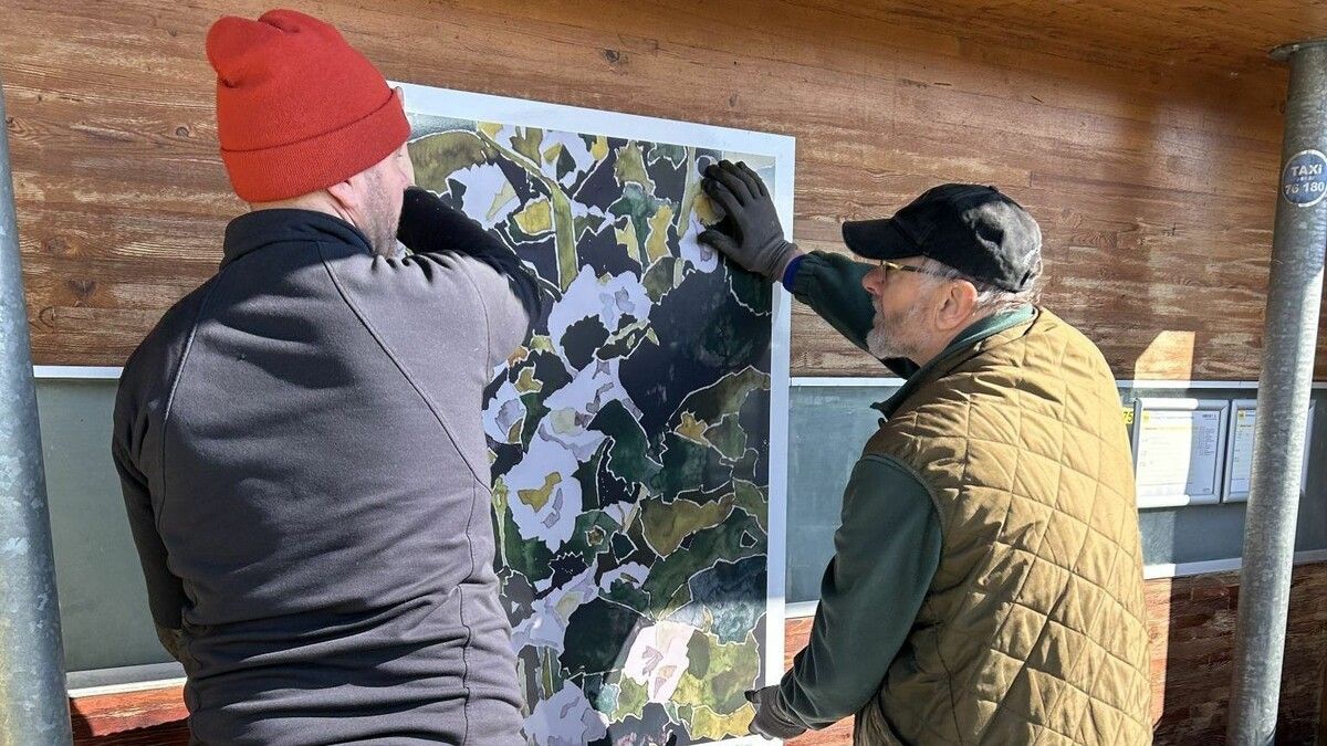 Walgauer Bushaltestellen werden zu offenen Galerien: Kunst im Alltag erleben. ⇒HALTESTELLE KUNST (2)
