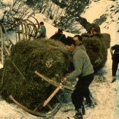 Ausstellung zum Wildheuen