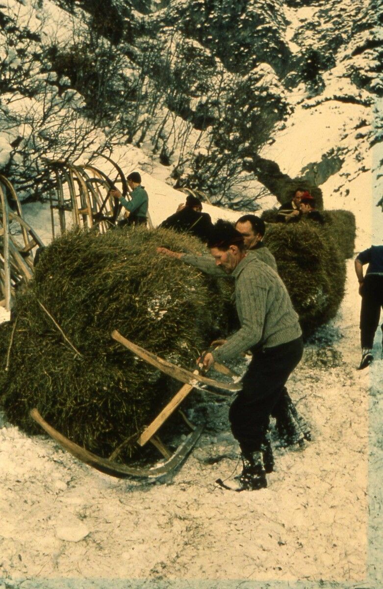 Zum Thema „Wildheuen“ präsentiert der Museumsverein Klostertal eine Ausstellung im Klostertal Museum. ⇒Museumsverein Klostertal