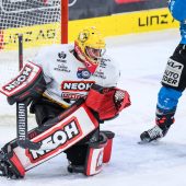 Pioneers basteln weiter am neuen Team