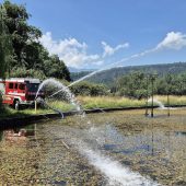 Sanierungsmaßnahmen für Tisner Weiher