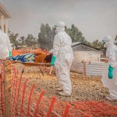 Mehr als 300 Ebola-Tote im Kongo