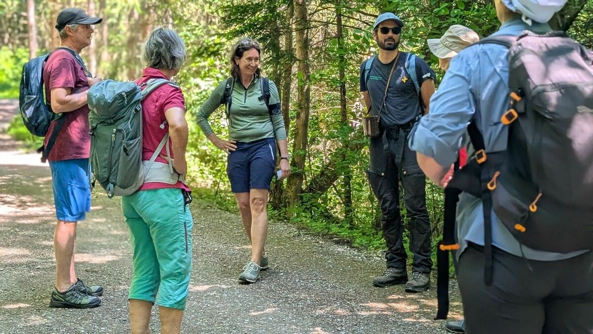 Bei Kaiserwetter konnten die Teilnehmenden die Naturvielfalt oberhalb von Bludenz erkunden. ⇒stadt bludenz (2)