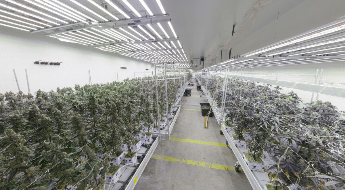 Das sichergestellte Cannabis hat einen Wert von 4,5 Millionen Euro.⇒AFP