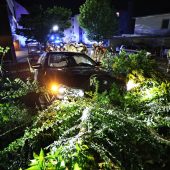 31-Jähriger randaliert nach Unfall