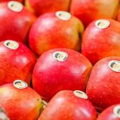 „Superapfel“ spaltet die Obstbauern
