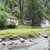 Tagesausfahrt nach Buchboden