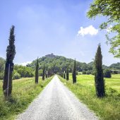 Der Gang nach Canossa