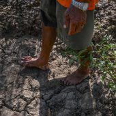 El Niño könnte 2027  Hitzerekorde brechen