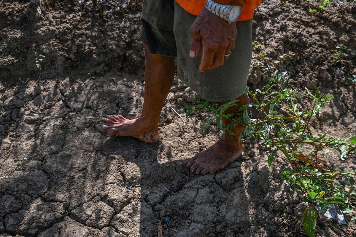 El Niño verschärft die Folgen des menschengemachten Klimawandels.⇒afp