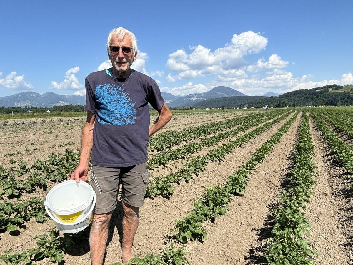Josef Stark sucht Menschen für seine Solidarische Landwirtschaft in Nofels. »A5