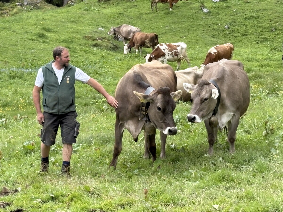 Alphirte Martin Neuhauser betreut den Sommer über 90 Kühe. »A6