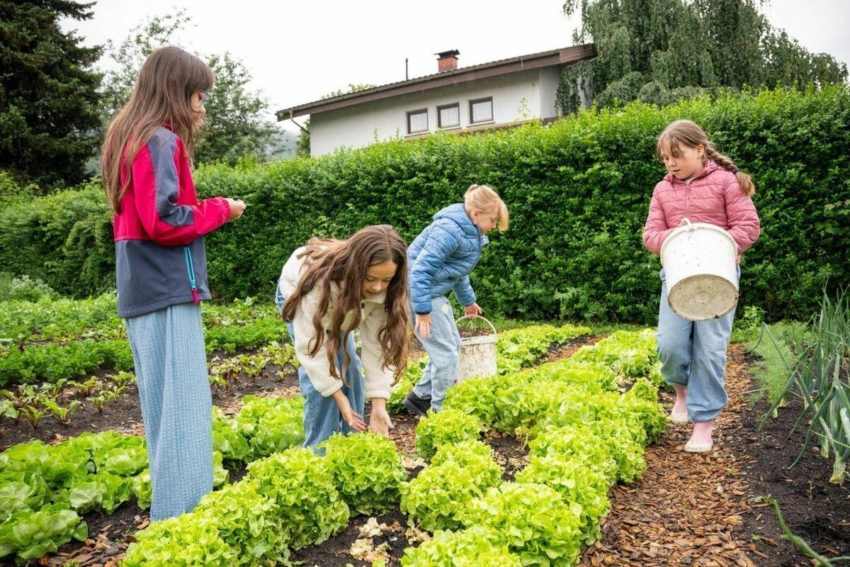 Kinder entdecken  in Feldkirch Natur mit allen Sinnen. »A4