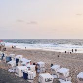 Insel aus Sand und Wind