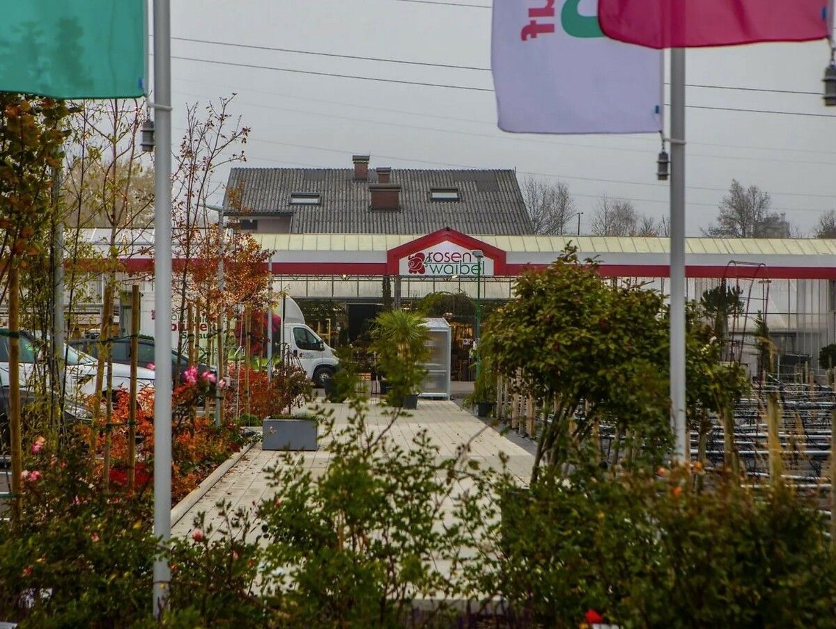 Inflation und Konkurrenzdruck bringen Blumenhändler in Bedrängnis. ⇒HARTINGER