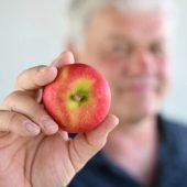 „Superapfel“ spaltet die Obstbauern am Bodensee. »A7