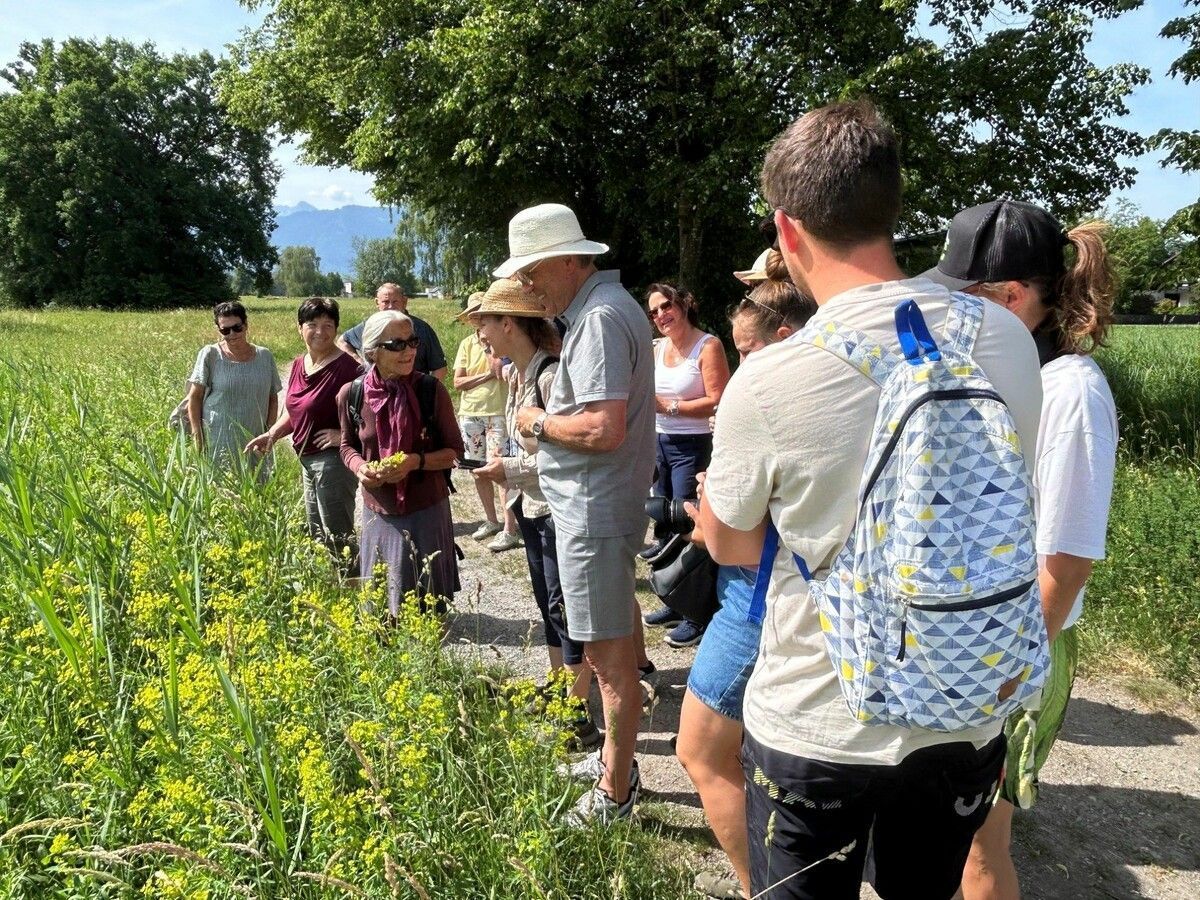 Großes Interesse an der Biotop-Exkursion in Meiningen. ⇒gemeinde meiningen