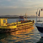 Warum ein Euter den ­Bodensee küsste