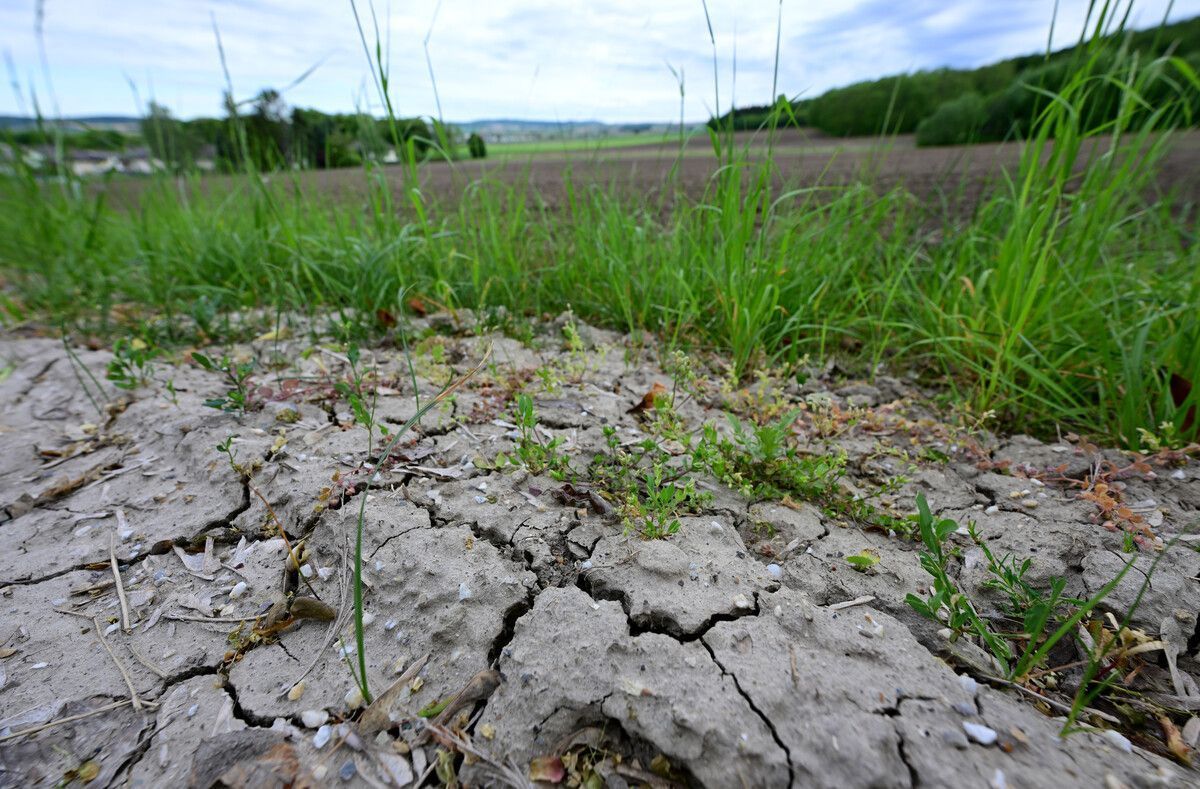 Mehr Verdunstung, weniger Wasserreserven, Experten warnen.⇒apa/schlager