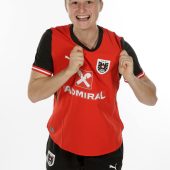Deutsche Bundesliga als neue Herausforderung