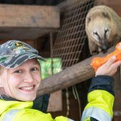 Tierischer Nachwuchs im Doppelmayr-Zoo